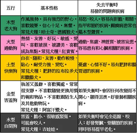 動物 五行|【動物五行】寵物也能看五行？快來測測你最適合養什麼毛小孩！。